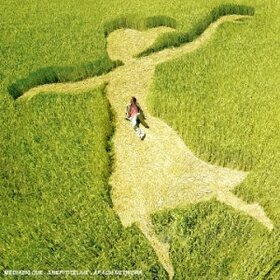 MONNET, FRANCK - AU GRAND JOUR