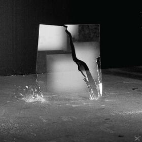 SCHWALM, J. PETER - BEAUTY OF DISASTER