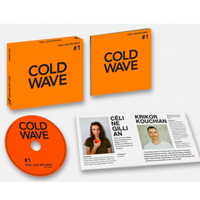 VARIOUS ARTISTS - COLD WAVE #1