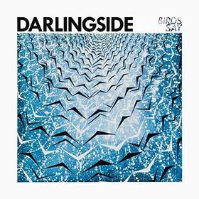DARLINGSIDE - BIRDS SAY