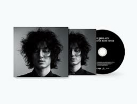 FUJII KAZE - HELP EVER HURT NEVER -LTD-