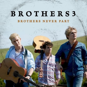 BROTHERS 3 - BROTHERS NEVER PART