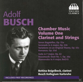 BUSCH, ADOLF - CHAMBER MUSIC VOL.1