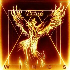 PICTURE - WINGS