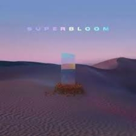 MISTERWIVES - SUPERBLOOM