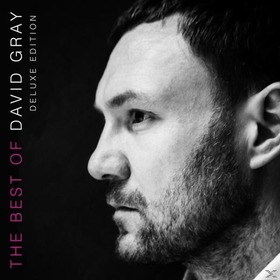 GRAY, DAVID - BEST OF DAVID GRAY -DELUXE-