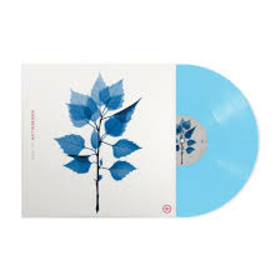 BERNINGER, MATT - GET SUNK -LTD BLUE SKY-