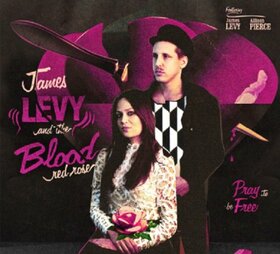 LEVY, JAMES - PRAY TO BE FREE