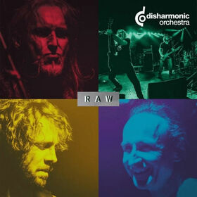 DISHARMONIC ORCHESTRA - RAW
