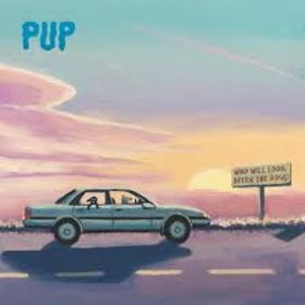 PUP - WHO WILL LOOK AFTER THE DOGS?