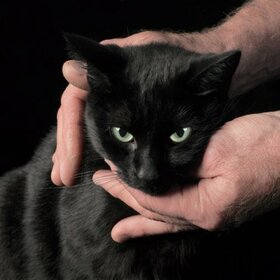 KERNEL, PETER - WHITE DEATH & BLACK HEART