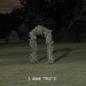 S.ARAW TRIO XI - GAZEBO EFFECT