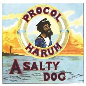 PROCOL HARUM - A SALTY DOG -HQ-