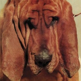 SEGALL, TY - GOODBYE BREAD