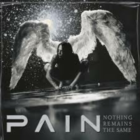 PAIN - NOTHING REMAINS THE SAME