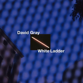 GRAY, DAVID - WHITE LADDER (20TH ANNIVERSARY DELUXE EDITION)