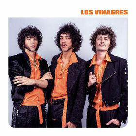 LOS VINAGRES - VOLCANES