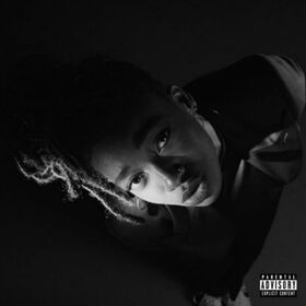 LITTLE SIMZ - GREY AREA / DIGIPAK