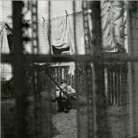 MCCARTNEY, PAUL - CHAOS & CREATION IN THE BACKYARD