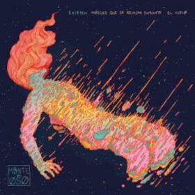 MONTE DEL OSO - EXISTEN MOSCAS QUE SE RELAJAN DURANTE EL VUELO