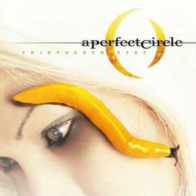 A PERFECT CIRCLE - THIRTEENTH STEP -HQ-