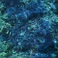 AOBA, ICHIKO - LUMINESCENT CREATURES (Compact Disc)