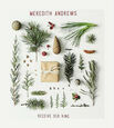 ANDREWS, MEREDITH - RECEIVE OUR KING (Compact Disc)