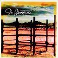 GIN BLOSSOMS - OUTSIDE LOOKING IN (Compact Disc)