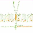 MAHER SHALAL HASH BAZ - C'EST LA DERNIERE  (Compact Disc)