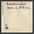 BABYSHAMBLES - DOWN IN ALBION (Compact Disc)