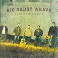 BIG DADDY WEAVE - FIELDS OF GRACE (Compact Disc)