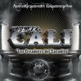 TIERRA CALI - AUTENTICAMENTE ENAMORADOS (Compact Disc)