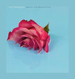PICTURESQUE - BACK TO BEAUTIFUL (Compact Disc)