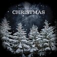 NORTH POINT MUSIC - NORTH POINT CHRISTMAS (Compact Disc)