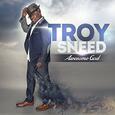 SNEED, TROY - AWESOME GOD (Compact Disc)