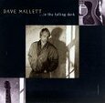 MALLETT, DAVE - IN THE FALLING DARK (Compact Disc)