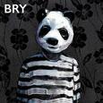 BRY - BRY (Compact Disc)