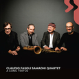 FASOLI, CLAUDIO - A LONG TRIP 22 (Compact Disc)