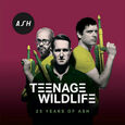 ASH - TEENAGE WILDLIFE - 25 YEARS (Compact Disc)