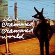 VARIOUS ARTISTS - IT'S A CRAMMED CRAMMED WORLD (Compact Disc)