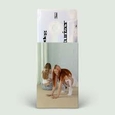WET LEG - MOISTURIZER (Music Cassette)