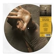 BISBAL, DAVID - PREMONICION -LTD PD- (Disco Vinilo LP)