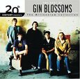 GIN BLOSSOMS - MILLENNIUM COLLECTION (Compact Disc)