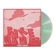 FAKE NAMES - PUNK RUINS -LTD- (Disco Vinilo LP)