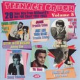 VARIOUS ARTISTS - TEENAGE CRUSH VOL.5 (Compact Disc)