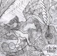 THILE, CHRIS - NOT ALL WHO WANDER ARE LO (Compact Disc)