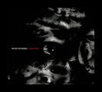 WE ARE THE DAMNED - DOOMVIRATE (Compact Disc)
