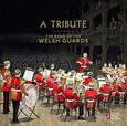 Artistes Variétés - A TRIBUTE (Compact Disc)