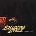 SHADOWS FALL - OF ONE BLOOD (Compact Disc)