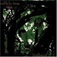 BUFFALO TOM - BIRDBRAIN (Compact Disc)